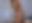 BSX Live 238 Lexi Lowe Part 1