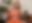 April Mae - Orange Feel April Mae - Orange Feel