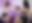 Office Hook-up with Katt Noir & Ivy Rain